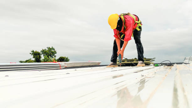 Best Rubber Roofing (EPDM, TPO)  in East Ithaca, NY